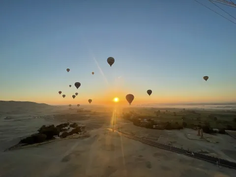 A dozen hot-air balloons drifting over a hazy valley at sunrise, with the sun low on the horizon.